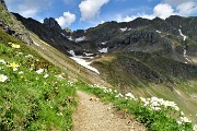 Anello Laghi di Ponteranica-Monte Avaro dai Piani il 10 giugno 2018